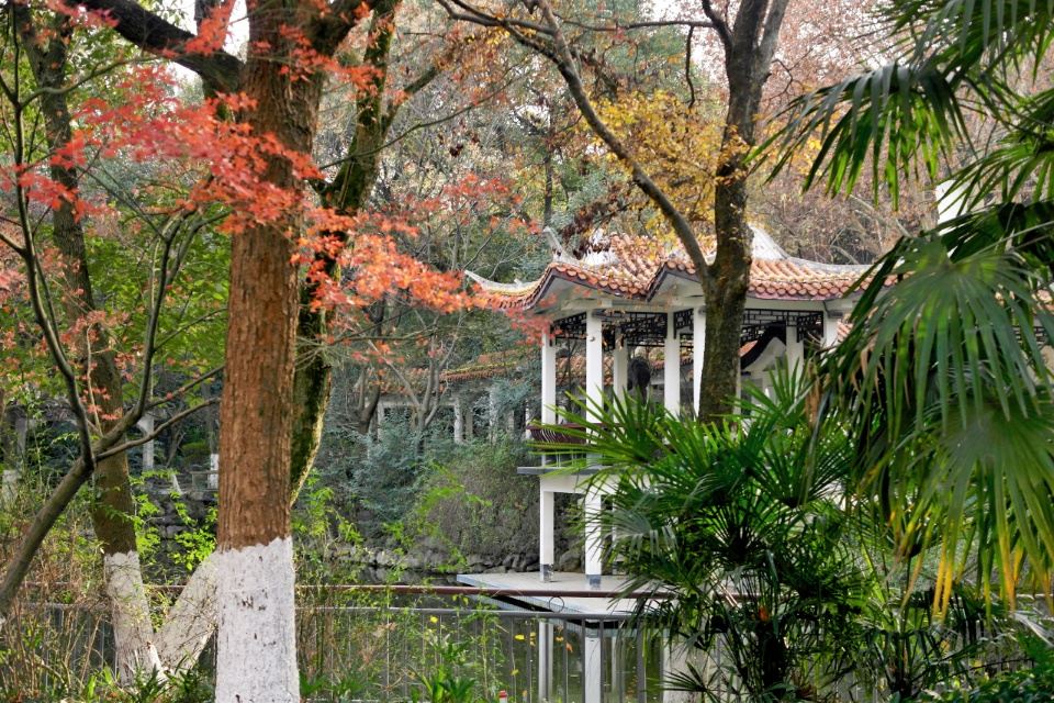 芜湖有什么地方好玩？到芜湖旅游千万不要错过这些景点