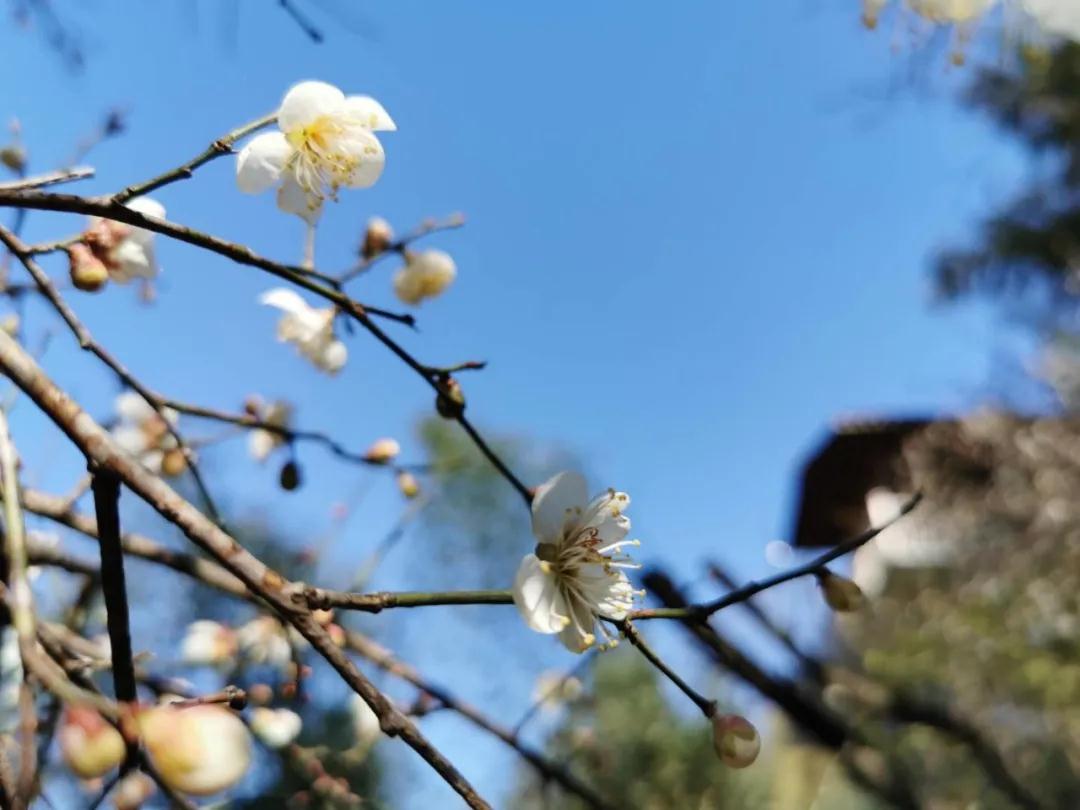 茶联中的人生哲理，句句妙趣横生，耐人寻味