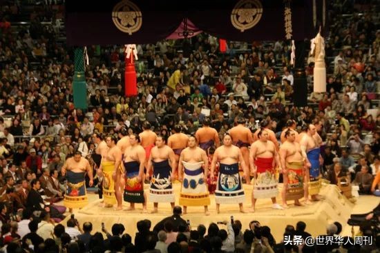 日本相撲選手因新冠去世 收入高的他們 為何大多短命 天天看點