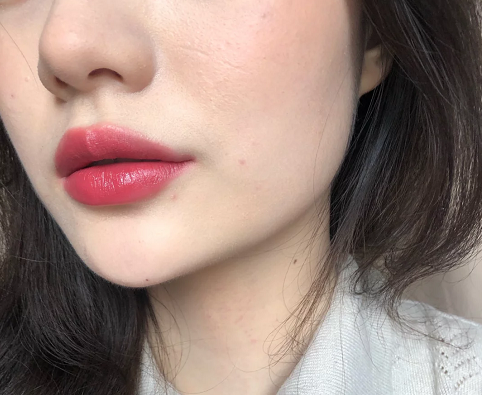 MAC和雅诗兰黛的口红哪个好？它们同属一个公司，到底有什么不同