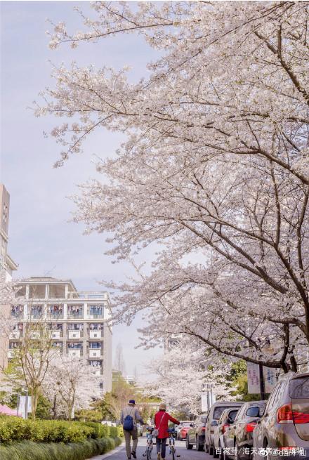 浙江大学院校解读！真的有豪华宿舍？你想了解的相关内容一文展示