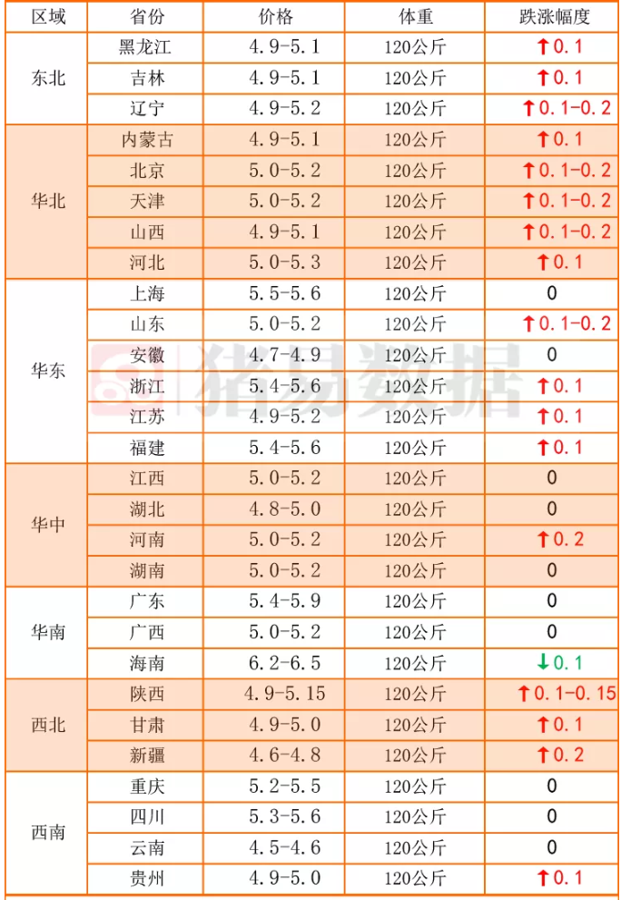 生猪价格涨势反扑，南北市场“一片红”！附10月8日猪价