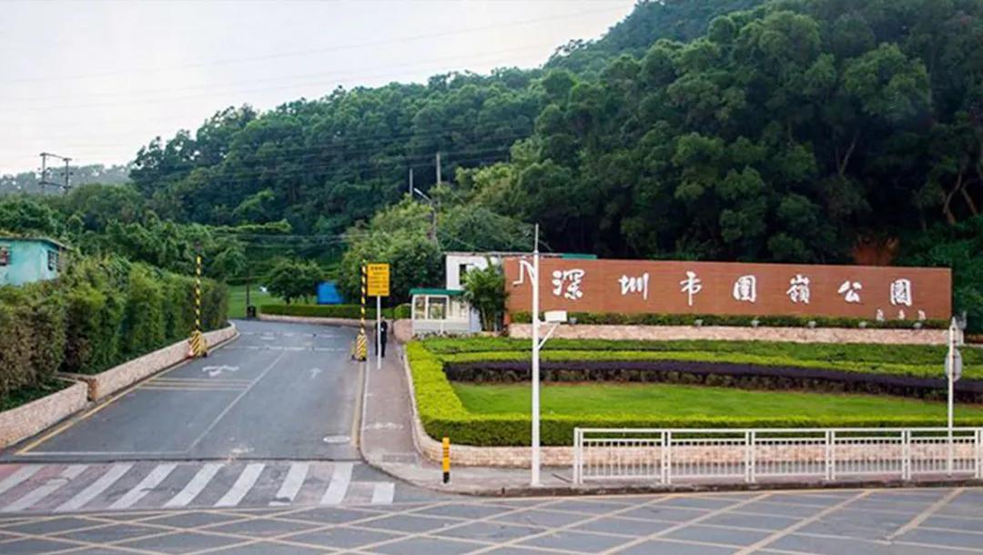 当罗湖人遇到这个“宝藏盘”，实现理想居所的“三大件”都有了