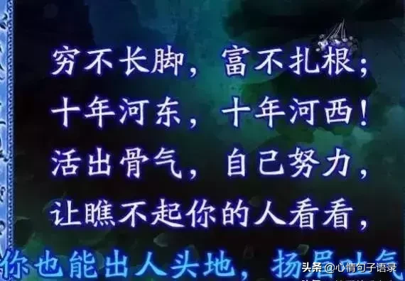 金钱社会，没钱，就得认怂