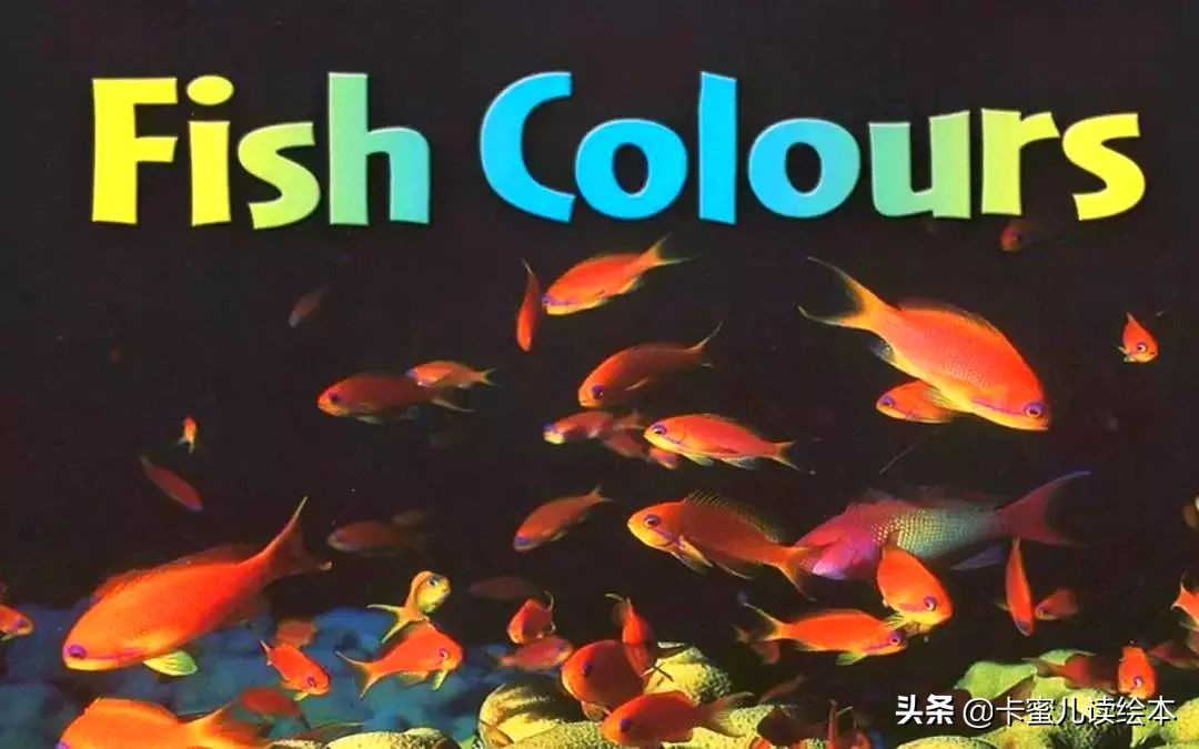 英文有聲繪本《Fish Colours》魚的顏色
