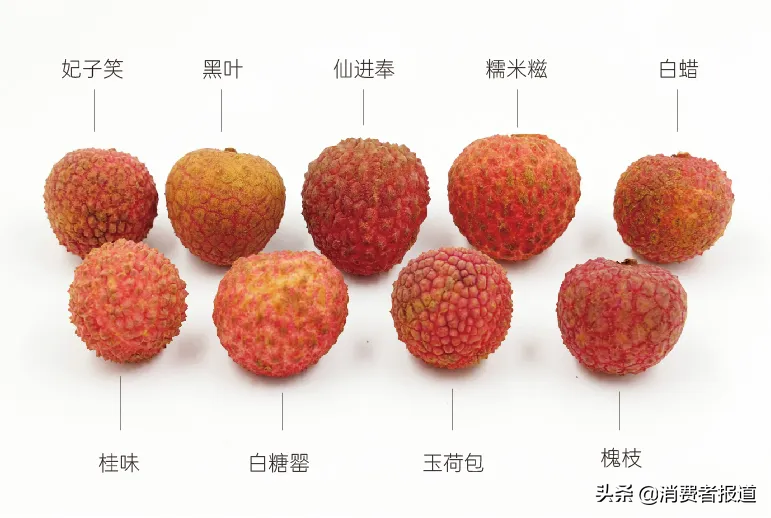 9款荔枝书包深度测评：第二书包排行榜全面解析