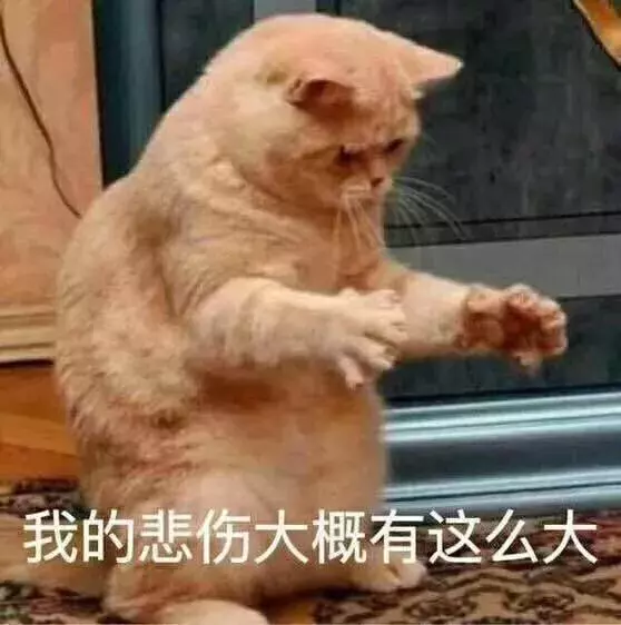 病毒顽强，致死率高达90%，让猫和主人措手不及的猫瘟如何预防？