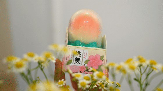 2021雪糕测评（最好吃的居然才3.5元）(28)