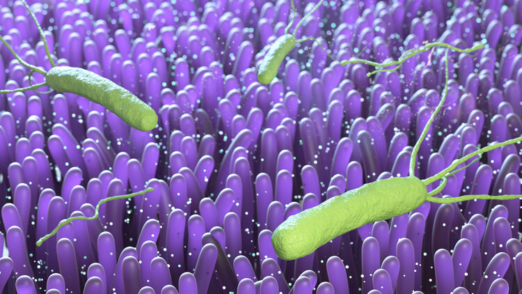 幽门螺旋杆菌最好的治疗方法，口臭特点及如何治愈？