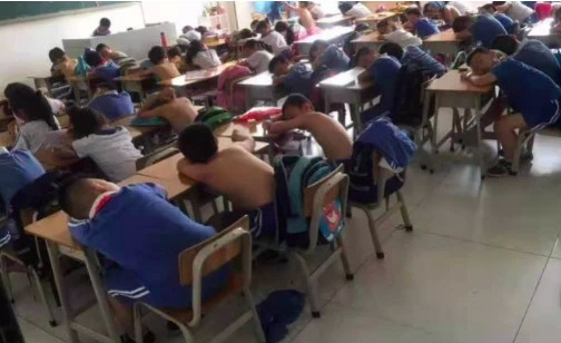 成都和重庆女人韵味各不同，但都爱戴黄桷兰，散发烟火气里的芬芳
