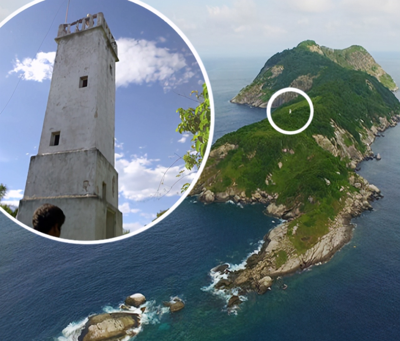 图注:巴西蛇岛好像世界各地都有自己的"蛇岛",在这些岛屿上,蛇经常以