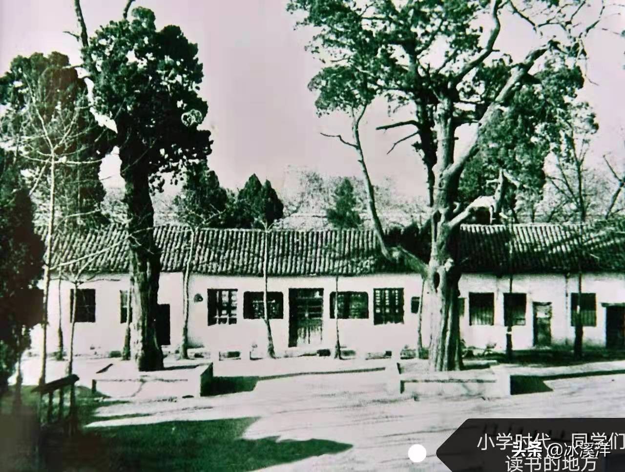 吴静‖让我们再道一声：老师好
