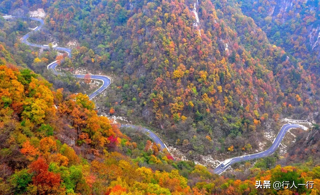 河南的秋天，这10大景区一定要去看看，每一处都美出仙境，还免费