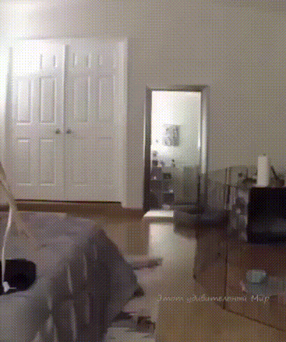 妹子在车上做出不雅行为，我该怎么去制止她