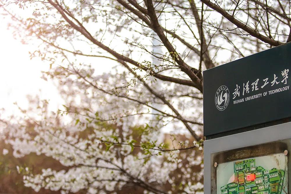 2020艺术类专业最新录取分数线发布！想考名校的你，能达标吗？