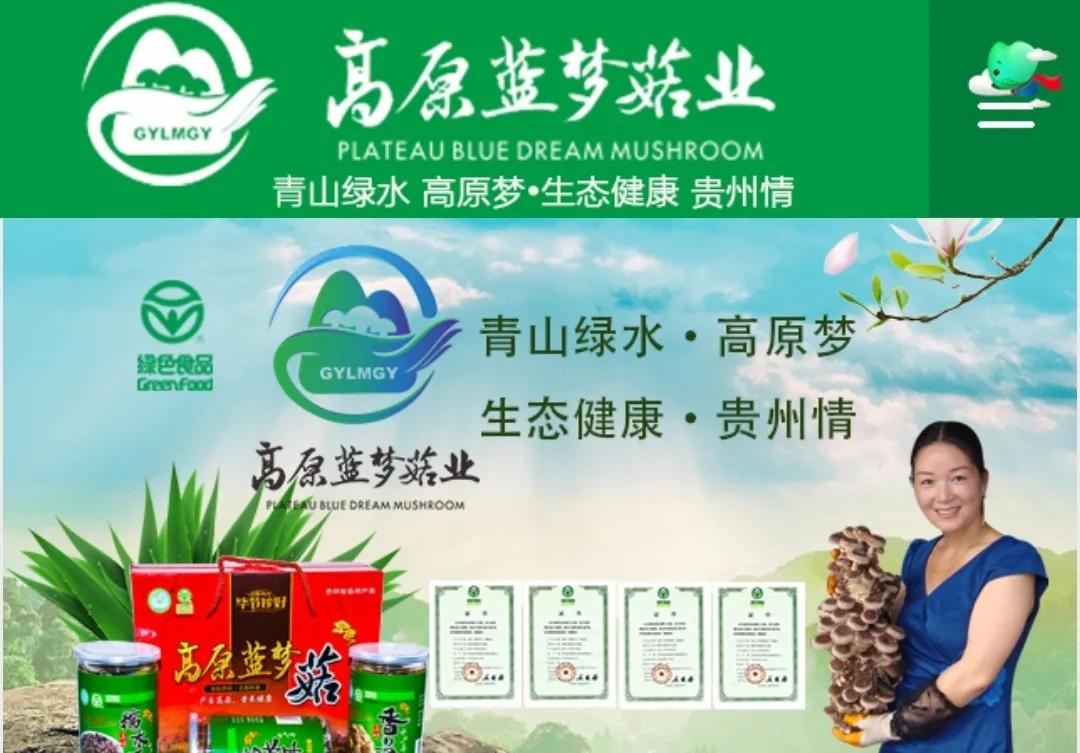 牛牛牛 | 贵州15家获得第七批农业产业化国家重点龙头企业名单公示