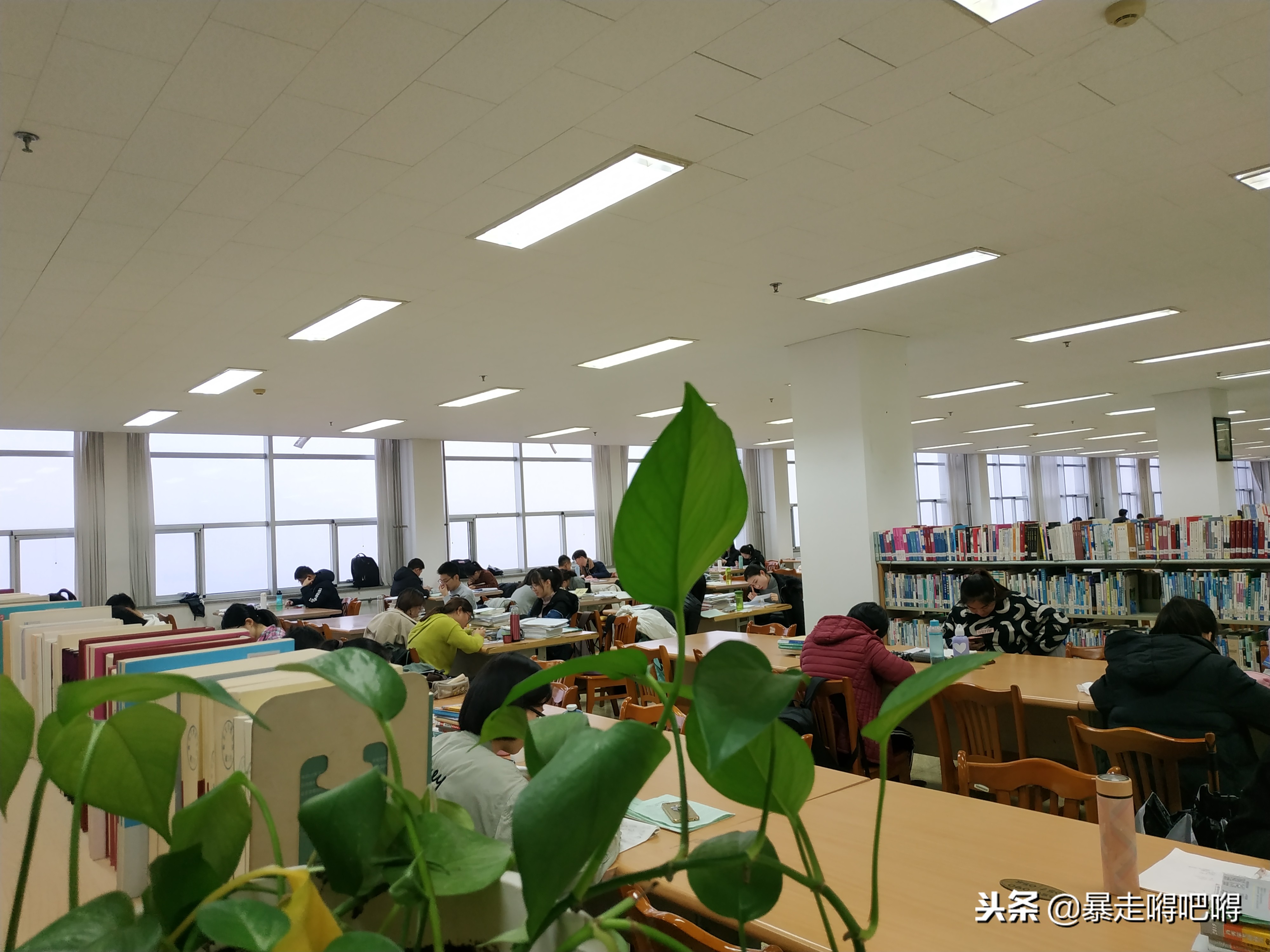 嘚吧嘚吧考研前一天之鲁东大学