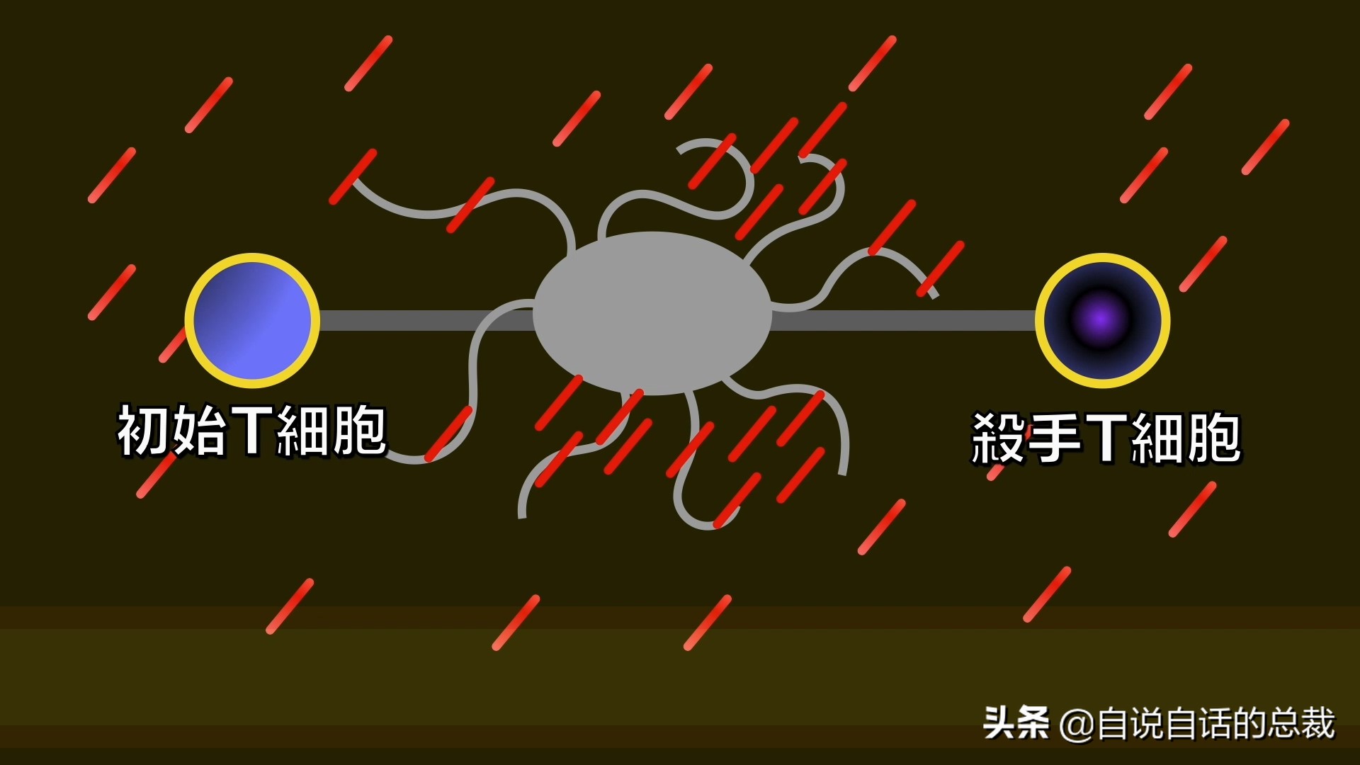 埃博拉：人类的诅咒，你的身体如何对抗它，它到底有多恐怖