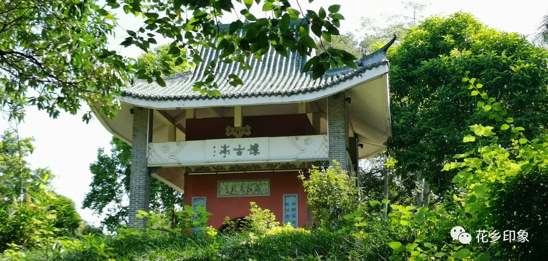 关于横县海棠公园的散文(广西横县海棠公园) _晶羽科技