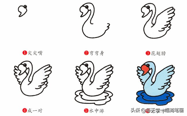 天鹅简笔画(每天学一幅简笔画-天鹅动物简笔画步骤图片大全)