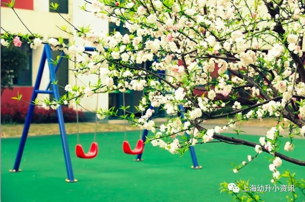 上海16区潜力公办小学大PK！看看谁才是魔都“黑马”担当