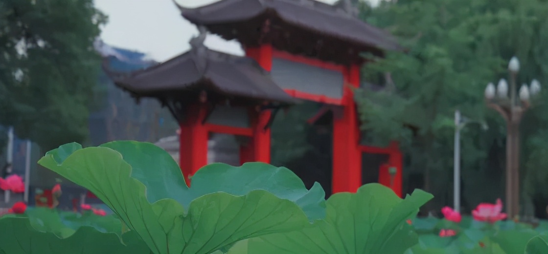 中国这10所大学壁纸第二期！厦门大学、中山大学等在列