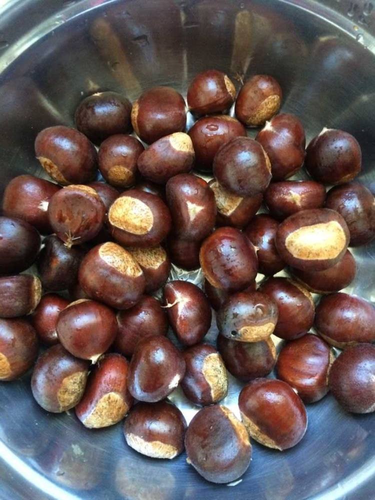 保存板栗，有人直接急冻，有人煮熟急冻，教你正确做法，特别新鲜