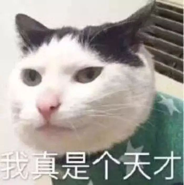 出境领队证,出境领队证怎么考