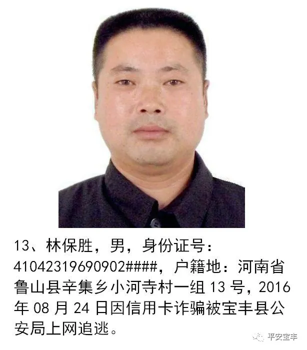网上逃犯,网上逃犯名单查询系统