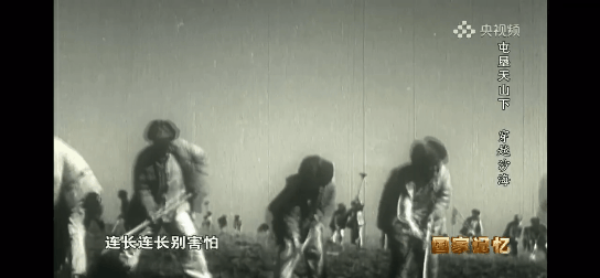 17位老人在宾馆地毯上睡了一夜，他们是谁？