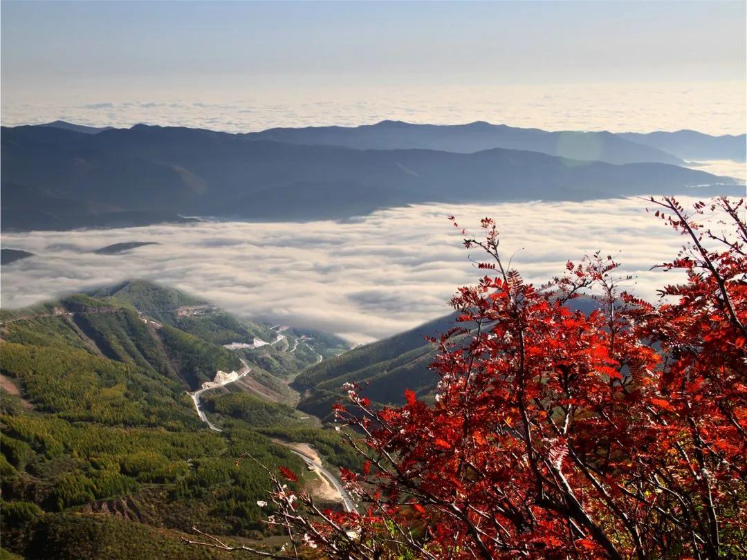 秋游六盘山（散文）