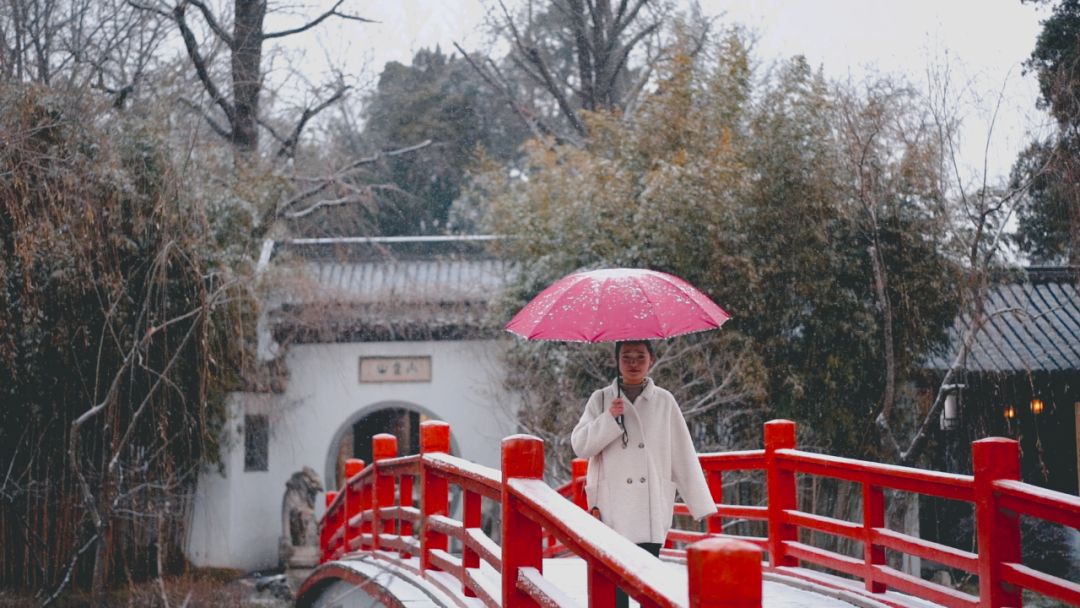 花影飞雪瘦西湖，诗词梦里醉扬州