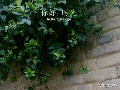 女生表白男生的话霸气