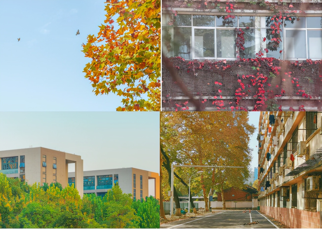 湖北“超牛”高校：坐拥百年底蕴，1个学科全国第一，成果频获世界关注！