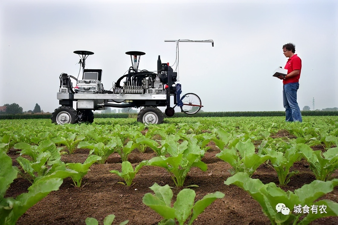 热门关键词有哪些，农业与科技的关键词？