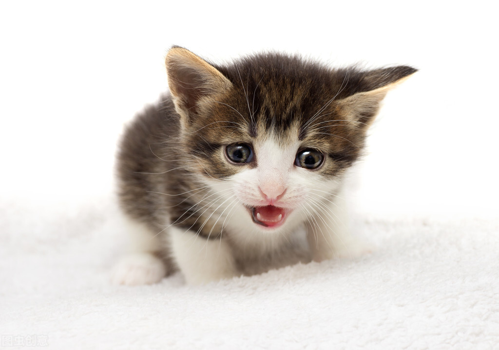 什么样的人适合做会计这个岗位？