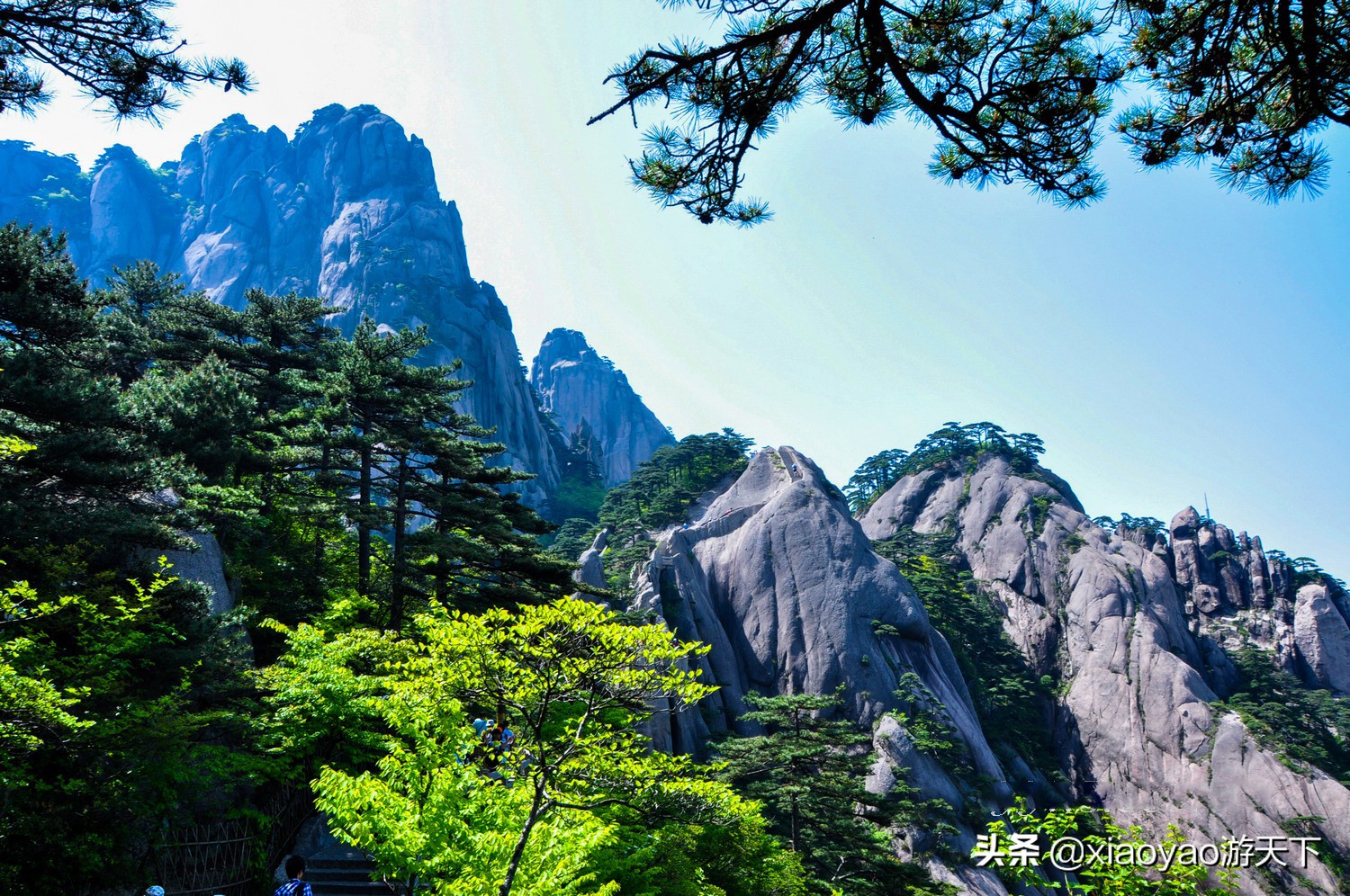 全国5A级旅游景区最新门票价格（安徽篇）