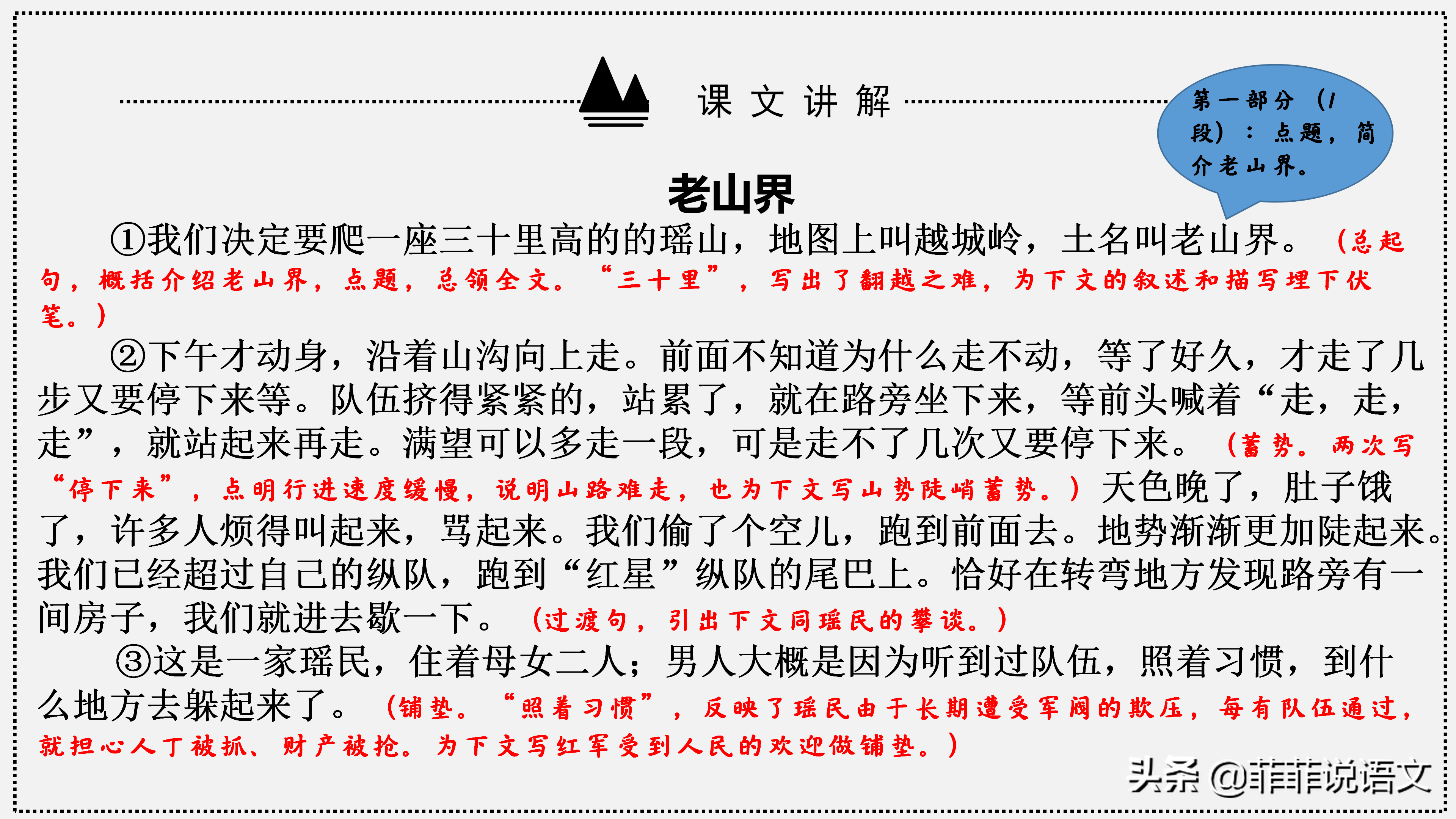 赞美嫂子无私奉献与坚韧品格的动人篇章