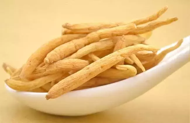 想种植中药材,但不知道种什么?这里有答案