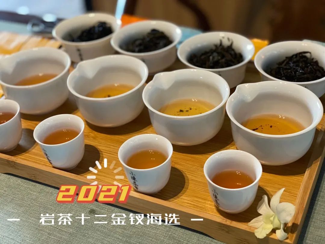武夷岩茶十二金钗，这一次，我们准备了哪些好茶等着你？