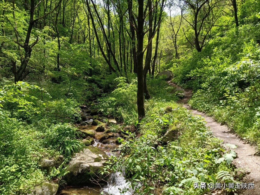 原来这便是秦岭72峪中的白石峪，藏在动物园后面，自驾车能开进山