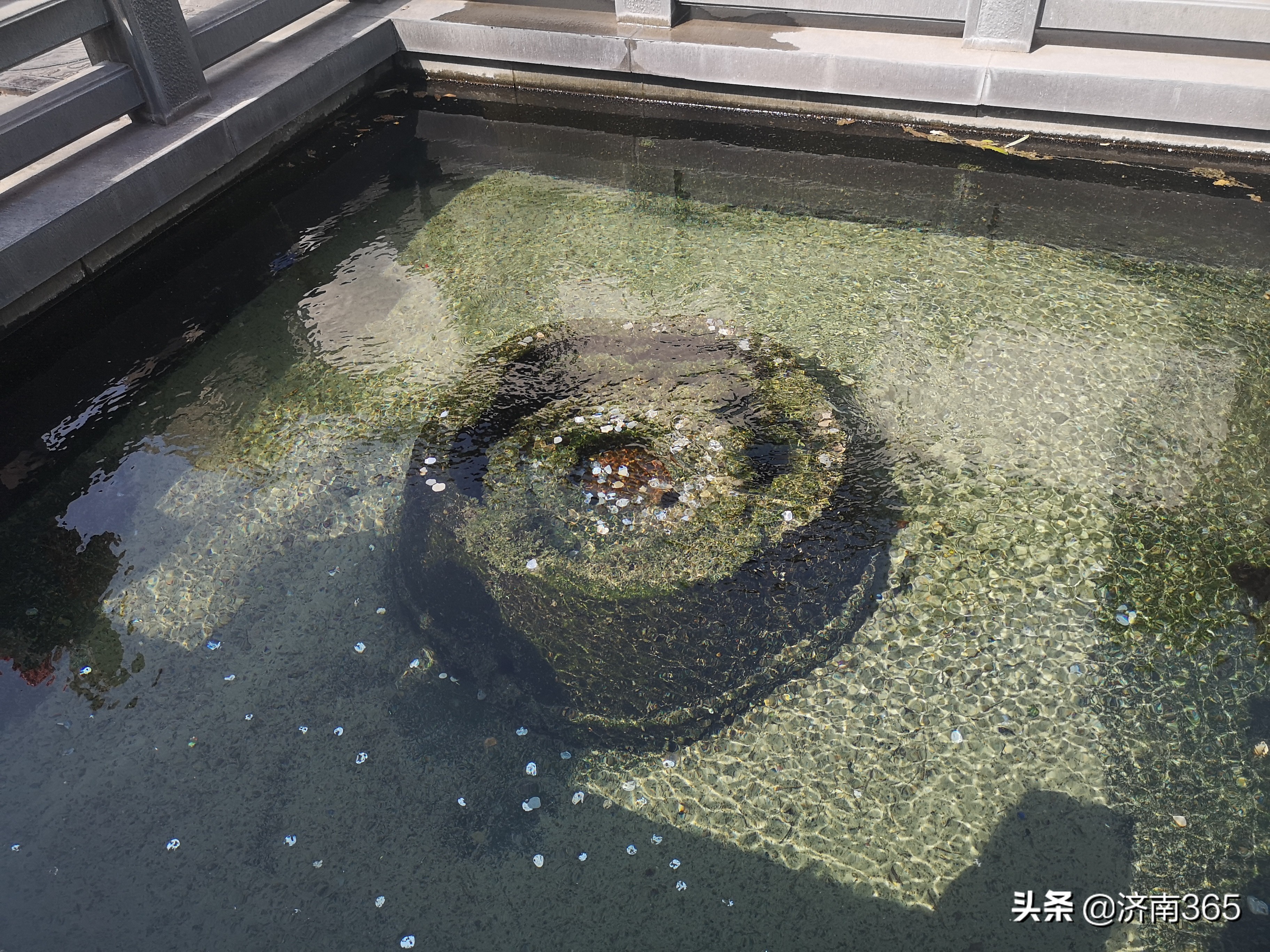 拔腚、崩没哏儿、嗦刈、目量，这些济南方言的意思你能猜中几个