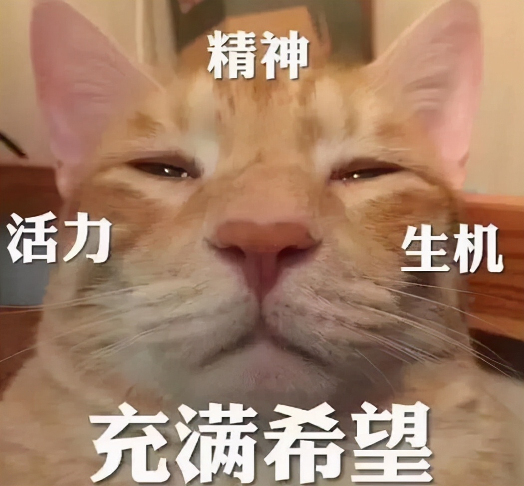 从小学到大学，“班花”都有什么变化？从至高目标，到接受现实