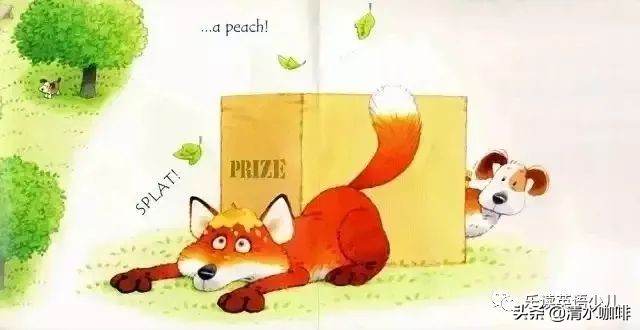 自然拼读绘本《Fox on a box》—通过拼读音素，学会单词发音