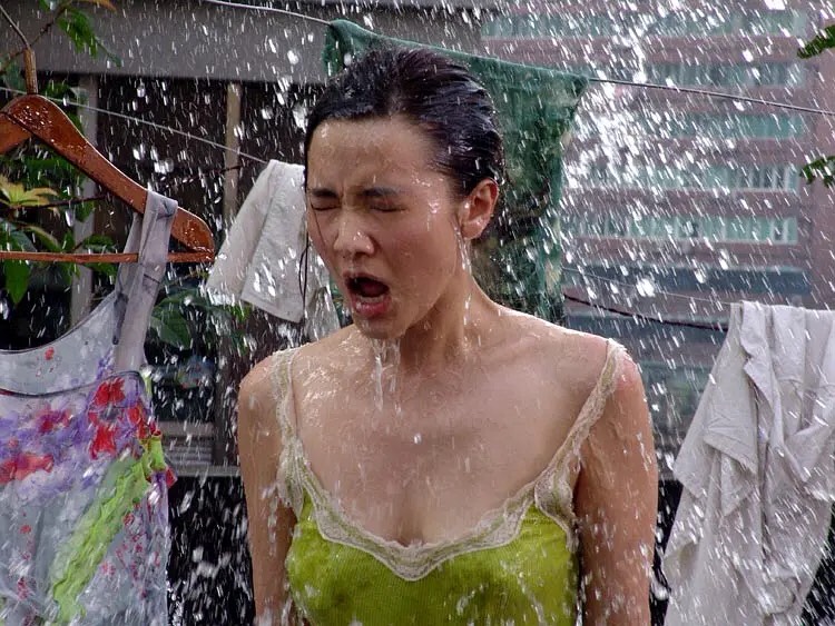 《好奇害死猫》:刘嘉玲和小宋佳,富太太和美熟女的故事