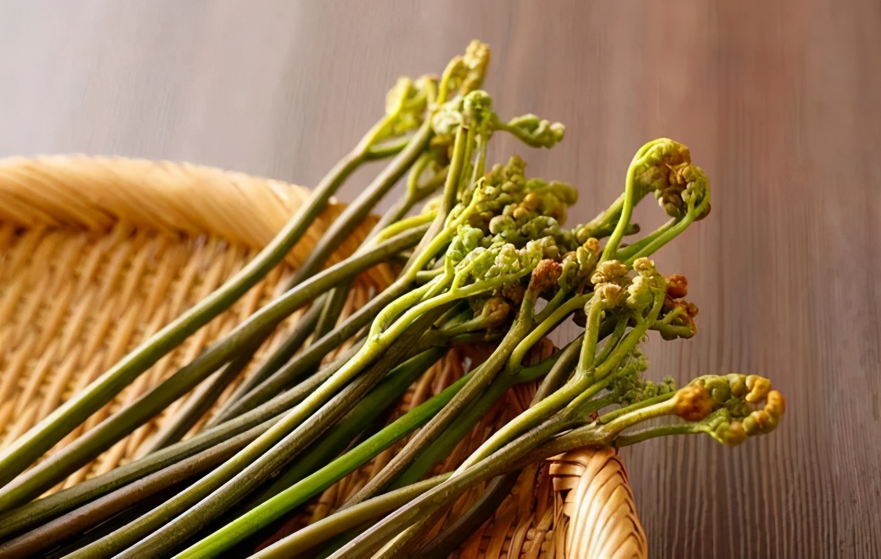 湖南农村最常见的野菜,野果,你吃过几种?