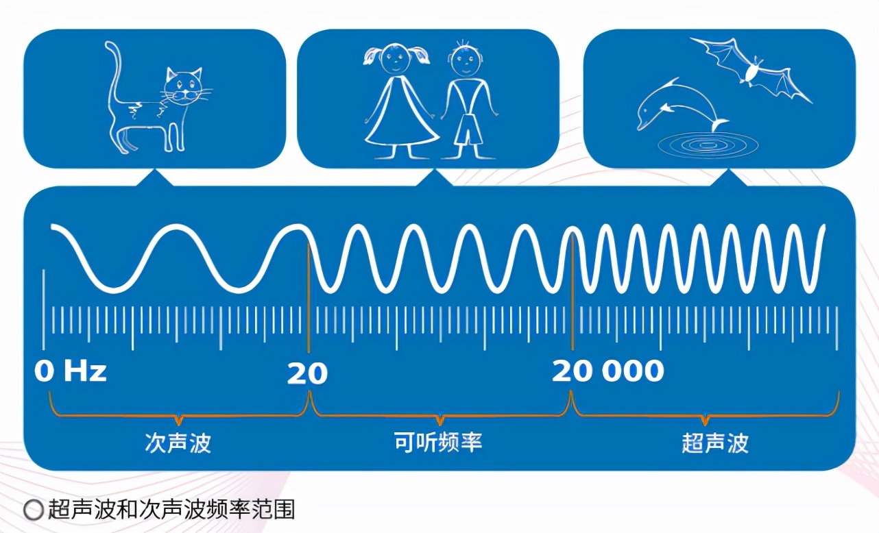 家里的狗为何总是对着空气狂吠？它们真的能看到人看不到的东西？