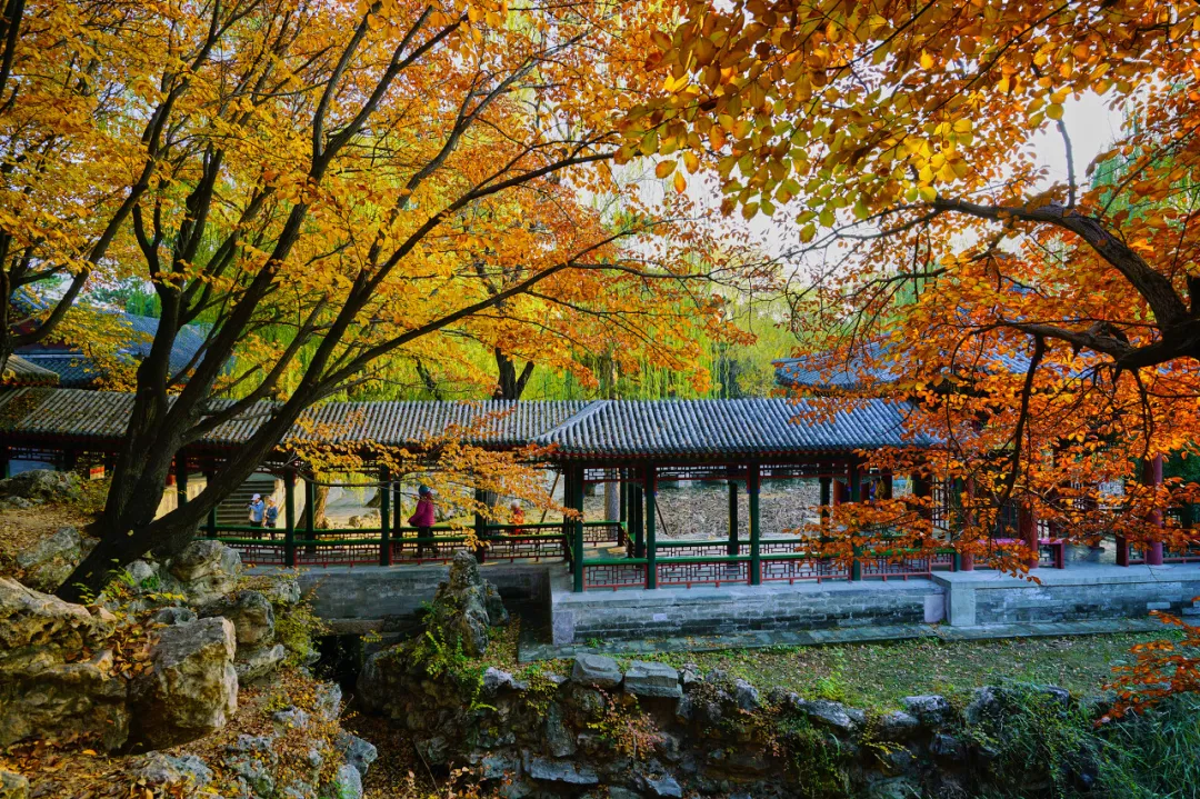 太美了!10个愈秋愈美的小众旅行地,错过只能再等一年