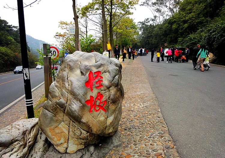 厦门怪坡在哪里(打卡厦门文曾路怪坡，东西从坡底滚到坡顶，其实是眼睛欺骗了自己)