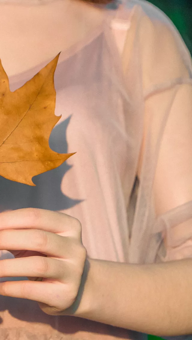 中国这10所大学壁纸第二期！厦门大学、中山大学等在列